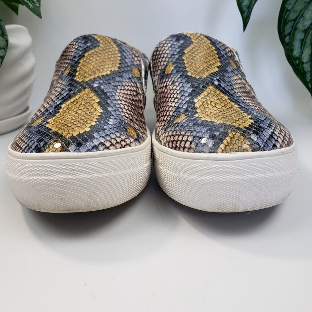 Steve Madden Sneaker Python Snake Print Skater Lo… - image 6